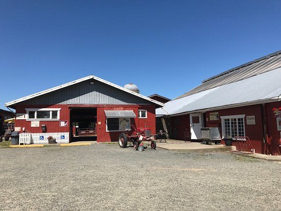 Little Qualicum Cheeseworks